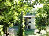 2 Limonal - Photo 2
