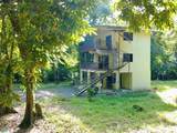 2 Limonal - Photo 5