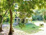 2 Limonal - Photo 6