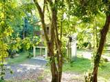 2 Limonal - Photo 7
