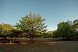 Vistas De Flamingo - Photo 13