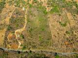  High Potential Development Land - Photo 8