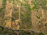  High Potential Development Land - Photo 9