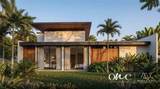  Tropical Modern Residence - Photo 22