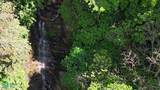  Rivers, Jungle, Waterfalls, And Ocean Views - Photo 10