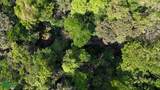  Rivers, Jungle, Waterfalls, And Ocean Views - Photo 14