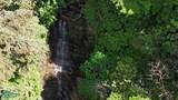  Rivers, Jungle, Waterfalls, And Ocean Views - Photo 16