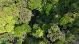  Rivers, Jungle, Waterfalls, And Ocean Views - Photo 17