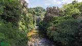  Rivers, Jungle, Waterfalls, And Ocean Views - Photo 22