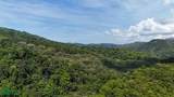 Rivers, Jungle, Waterfalls, And Ocean Views - Photo 25