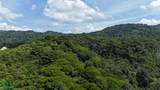  Rivers, Jungle, Waterfalls, And Ocean Views - Photo 27