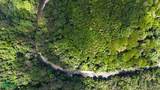  Rivers, Jungle, Waterfalls, And Ocean Views - Photo 28