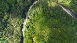  Rivers, Jungle, Waterfalls, And Ocean Views - Photo 29