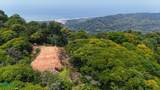  Rivers, Jungle, Waterfalls, And Ocean Views - Photo 3