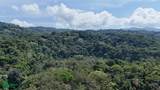  Rivers, Jungle, Waterfalls, And Ocean Views - Photo 30