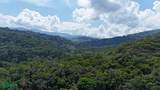  Rivers, Jungle, Waterfalls, And Ocean Views - Photo 31