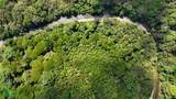  Rivers, Jungle, Waterfalls, And Ocean Views - Photo 32