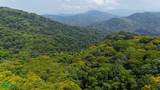  Rivers, Jungle, Waterfalls, And Ocean Views - Photo 35