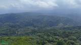  Rivers, Jungle, Waterfalls, And Ocean Views - Photo 36