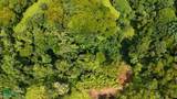 Rivers, Jungle, Waterfalls, And Ocean Views - Photo 37