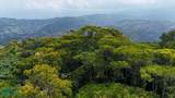  Rivers, Jungle, Waterfalls, And Ocean Views - Photo 38