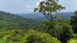  Rivers, Jungle, Waterfalls, And Ocean Views - Photo 39