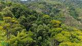 Rivers, Jungle, Waterfalls, And Ocean Views - Photo 40