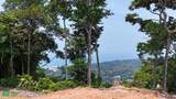  Rivers, Jungle, Waterfalls, And Ocean Views - Photo 41