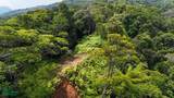  Rivers, Jungle, Waterfalls, And Ocean Views - Photo 44