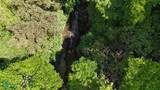  Rivers, Jungle, Waterfalls, And Ocean Views - Photo 7