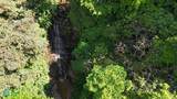  Rivers, Jungle, Waterfalls, And Ocean Views - Photo 9