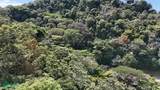  Luxury Gated Ocean-View Land - Manuel Antonio Park - Photo 10