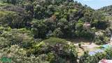  Luxury Gated Ocean-View Land - Manuel Antonio Park - Photo 11