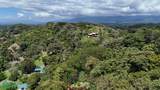  Luxury Gated Ocean-View Land - Manuel Antonio Park - Photo 2