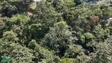  Luxury Gated Ocean-View Land - Manuel Antonio Park - Photo 3