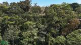  Luxury Gated Ocean-View Land - Manuel Antonio Park - Photo 5