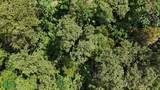  Luxury Gated Ocean-View Land - Manuel Antonio Park - Photo 6