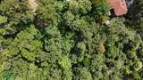  Luxury Gated Ocean-View Land - Manuel Antonio Park - Photo 7