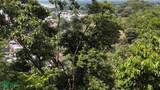  Luxury Gated Ocean-View Land - Manuel Antonio Park - Photo 8