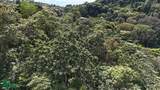  Luxury Gated Ocean-View Land - Manuel Antonio Park - Photo 9