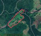  Riverside, Mountain View, 10 Hectares, Finca Anita - Photo 20