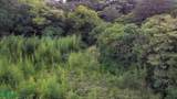  San Rafael Heredia - Photo 7