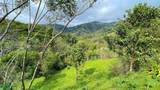  Desmonte - Photo 14
