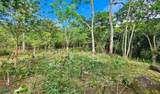  Finca Tierra Negra - Photo 10