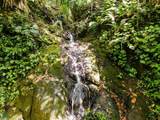  Waterfall Ocean View Gated Community Of Las Palmas - Photo 5