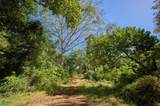  Finca La Caoba - Photo 11