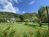 0 Avenida Central Golfito - Photo 44