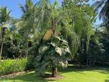 0 Avenida Central Golfito - Photo 45