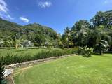 0 Avenida Central Golfito - Photo 46