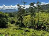  Guayabo - Photo 10